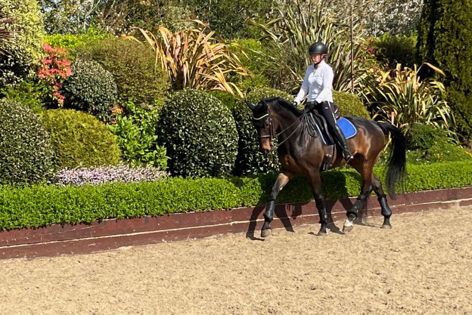 Nicola Dressage Webinars